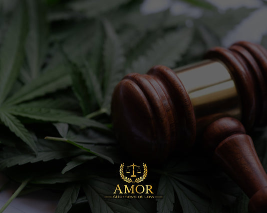 Understanding the Importance of Cannabis and Hemp Laws